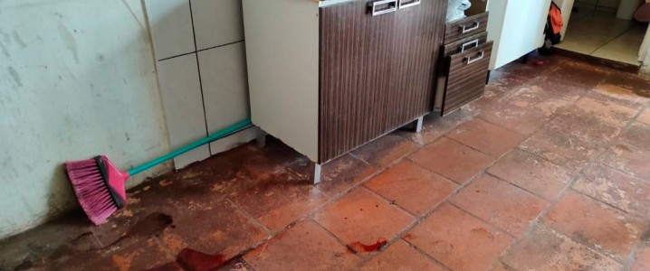 Silenciando o Horror: Convocando Ações Decisivas para Erradicar a Violência Domética e o Feminicí­dio