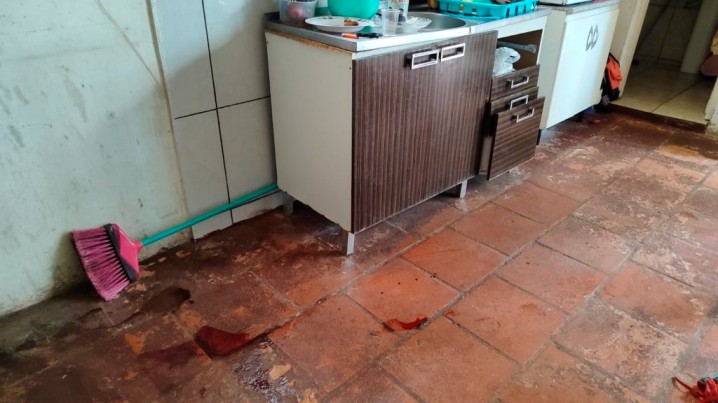 Silenciando o Horror: Convocando Ações Decisivas para Erradicar a Violência Domética e o Feminicí­dio