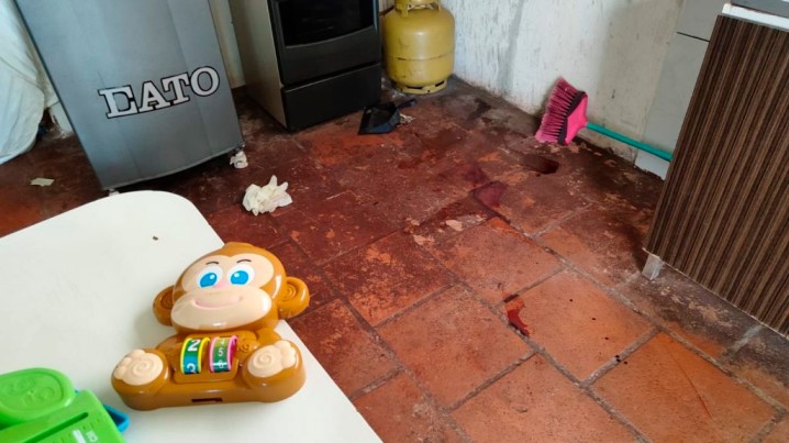 Silenciando o Horror: Convocando Ações Decisivas para Erradicar a Violência Domética e o Feminicí­dio